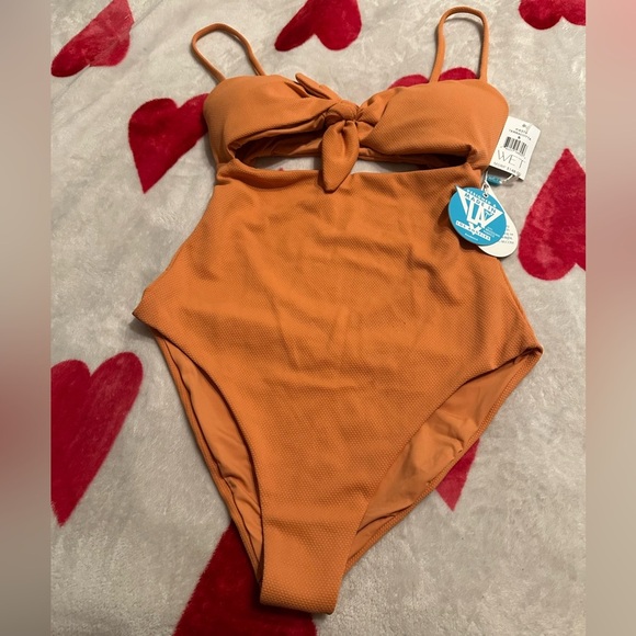 NWT WET Swimwear Krista One Piece in Terracotta - Picture 3 of 13